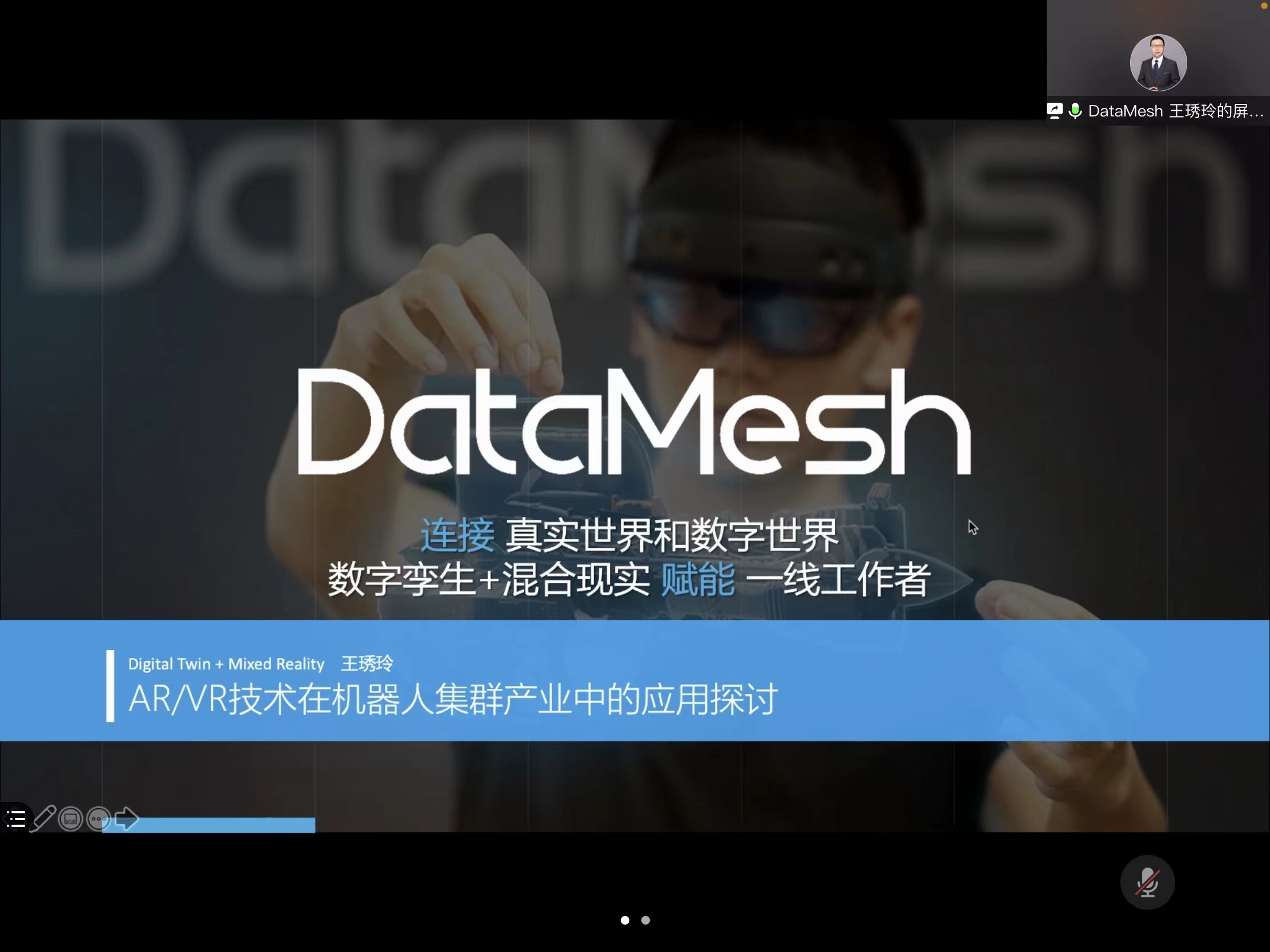 王绣玲 Datamesh